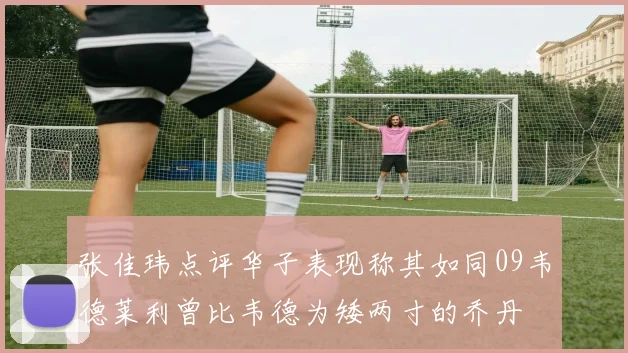 张佳玮点评华子表现称其如同09韦德莱利曾比韦德为矮两寸的乔丹