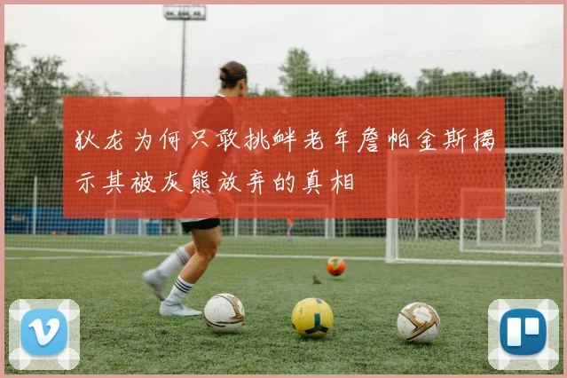 狄龙为何只敢挑衅老年詹帕金斯揭示其被灰熊放弃的真相